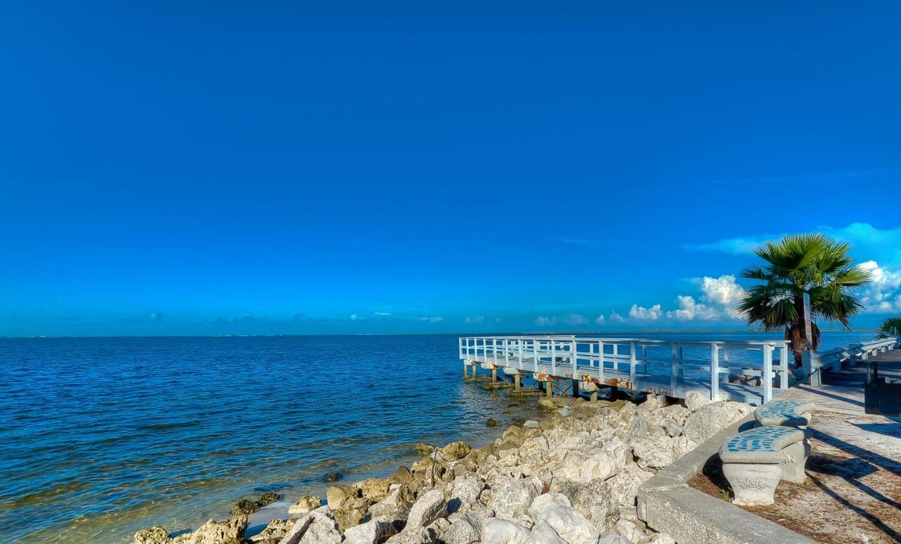 202-Pool, Wifi, Close To Bucs Stadium Τάμπα Εξωτερικό φωτογραφία